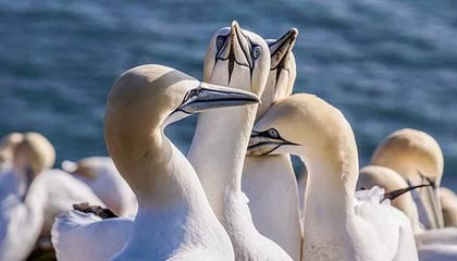 开云网址入口-足球电子竞技联赛启动线上选拔通道，足协举办电竞足球队选拔